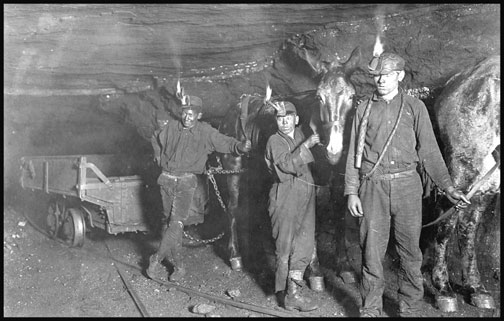 Drivers and Mules - Gary West Virginia - 1908