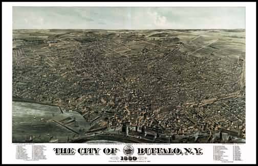 Buffalo Panoramic - 1880