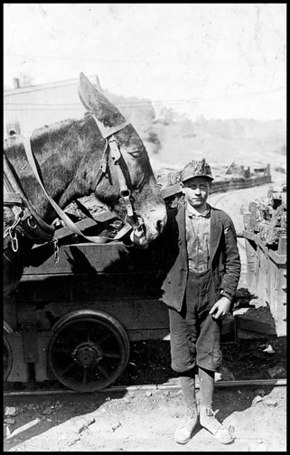 Driver - San Lick Mine - Grafton - West Virginia - 1908