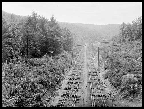 Looking Down Upper Gordon Plane