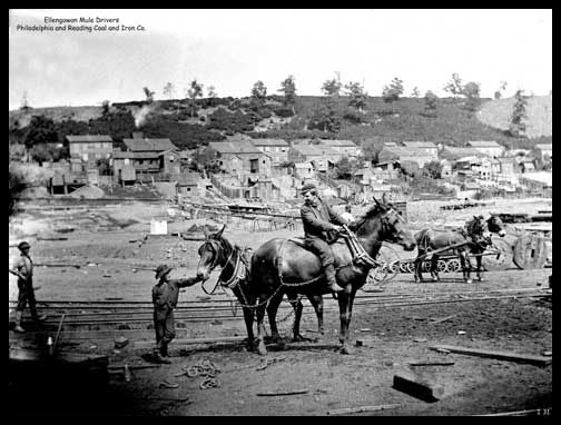 Ellen Gowen Coal Breaker - Mule Drivers
