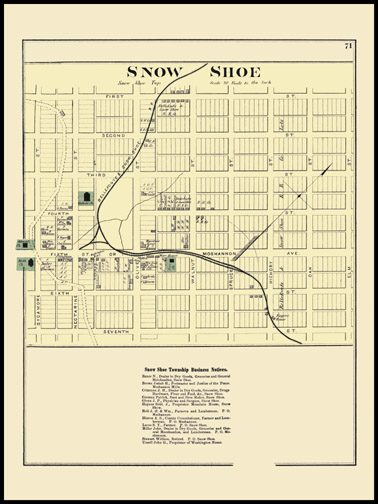 Snow Shoe