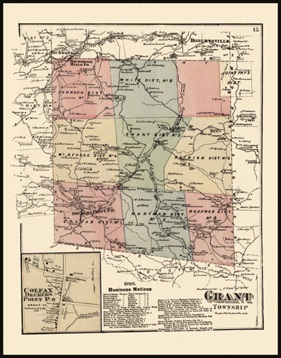 Grant Township,Colfax