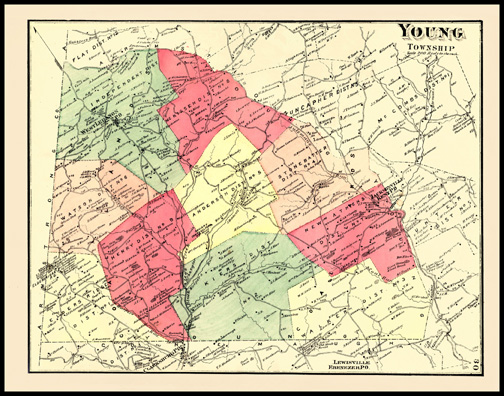Young Township