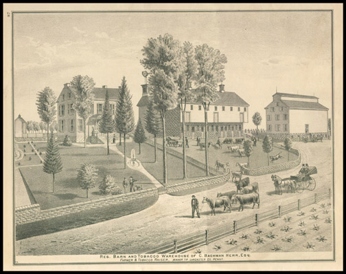 Res.& Barn & Tobacco Warehouse of C. Bachman