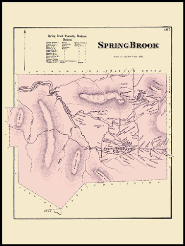 Spring Brook Township