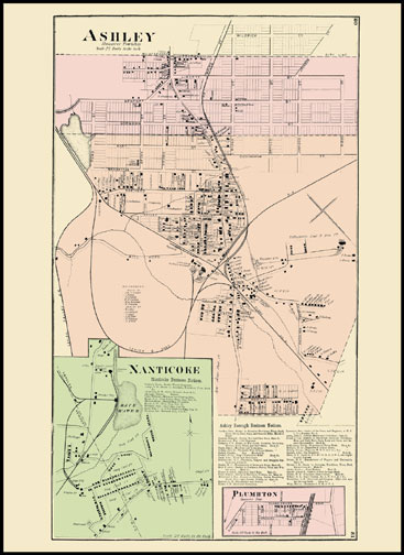 Ashley,Nanticoke,Plumbton