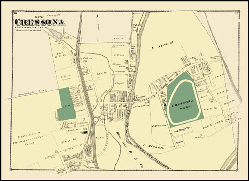 Part of Cressona