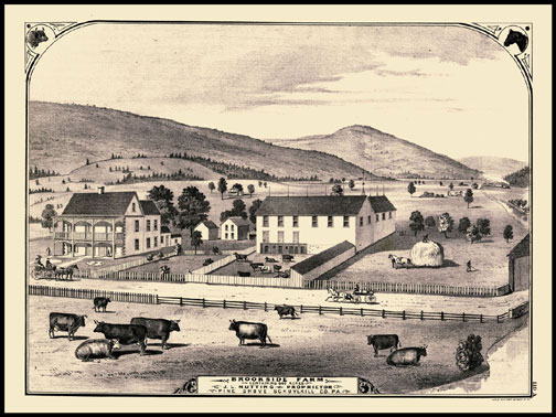 Brookside Farm