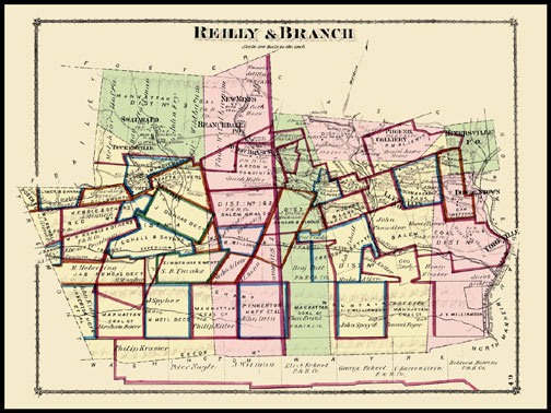 Branch Township,Reiley Township