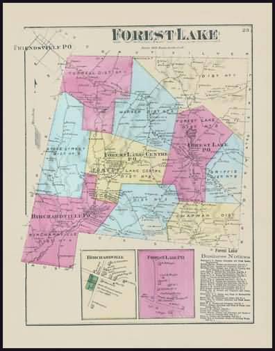 Forest Lake Township,Birchardville,Forest Lake