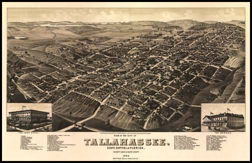Tallahassee Panoramic - 1885
