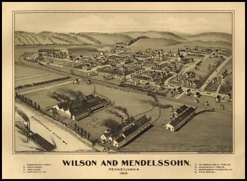 Wilson & Mendelssohn Panoramic - 1902